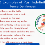 10 Examples of Past Indefinite Tense Sentences