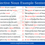 Collective Noun Sentence Examples min