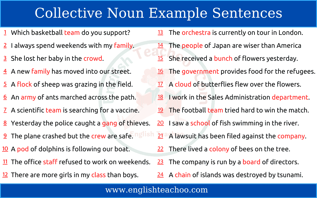 Collective Noun Sentence Examples EnglishTeachoo
