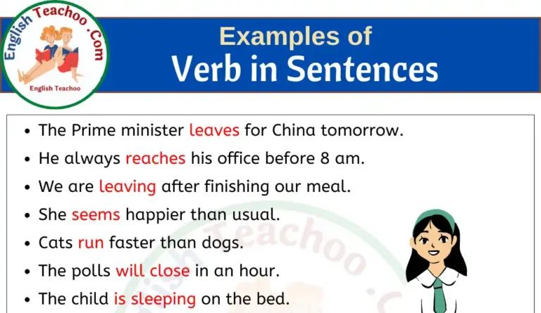 20 Examples of Verb in Sentences s