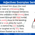Adjectives Examples Sentences