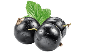 Black Currant fruits image