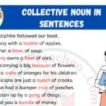 Examples of Collective Noun In Sentences