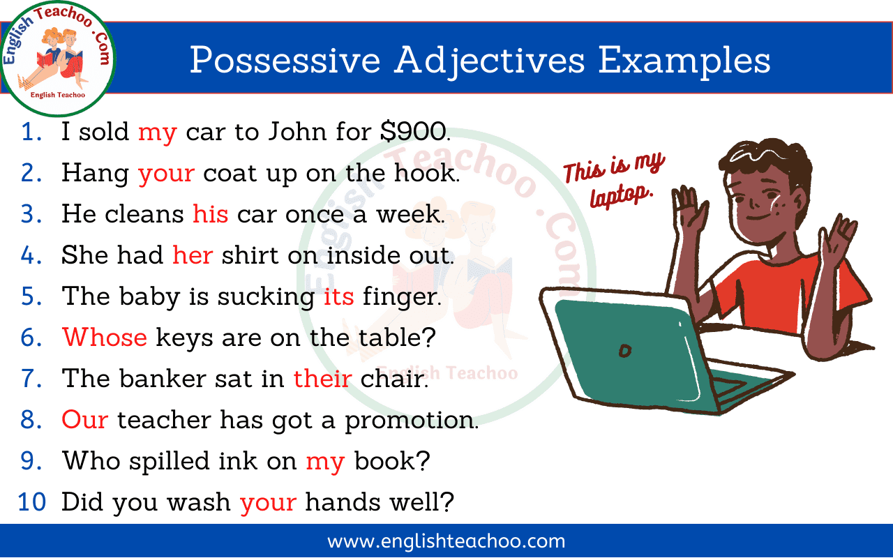 Give Five Examples Of Possessive Adjective