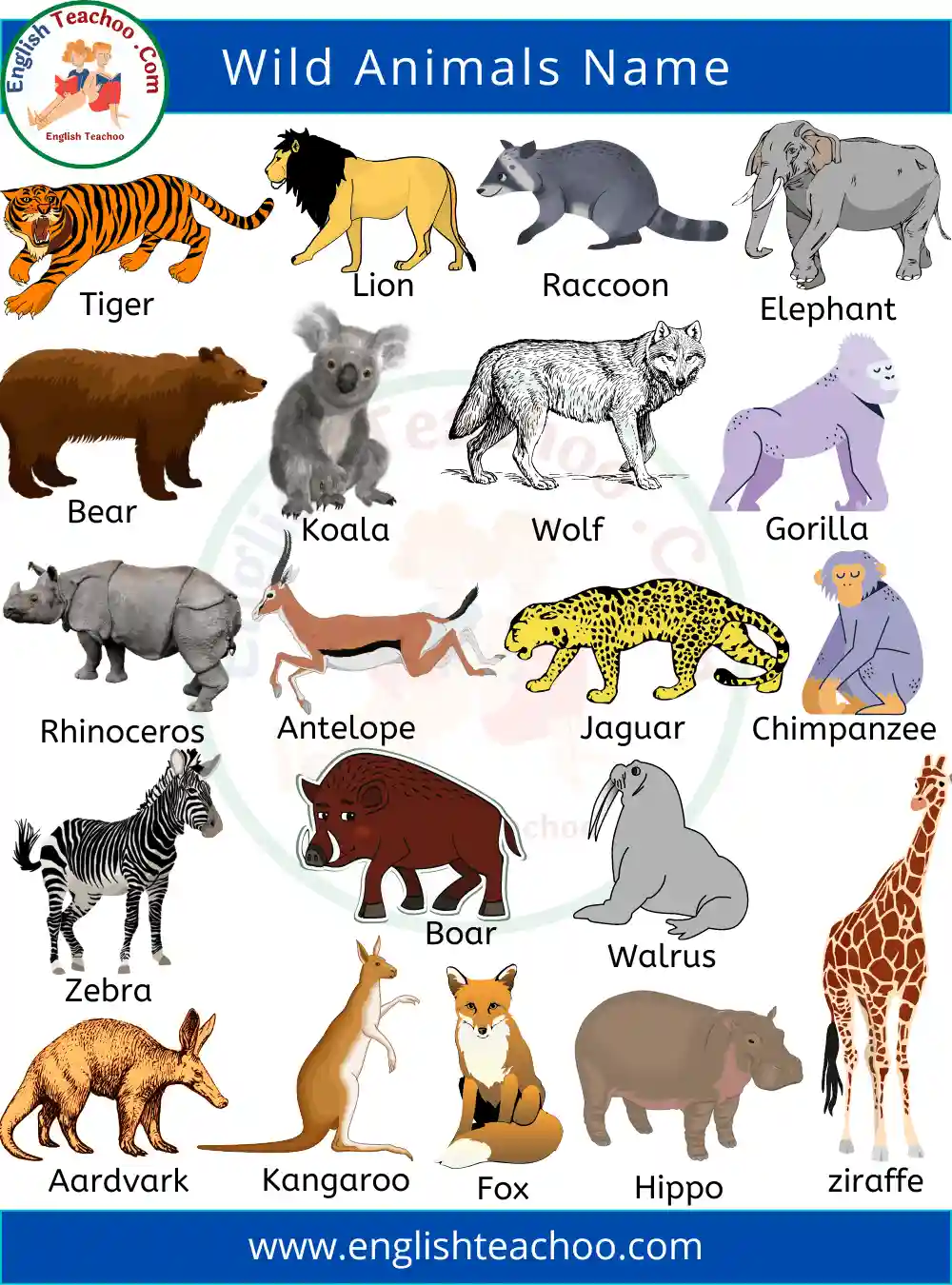 List of Wild Animals Name With Pictures - EnglishTeachoo
