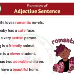 12 Examples of Adjectives In Sentences Adjective Sentence Examples