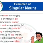 20 Examples of Singular Nouns In Sentences