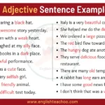 40 Examples of Adjectives In Sentences Adjective Sentences Examples