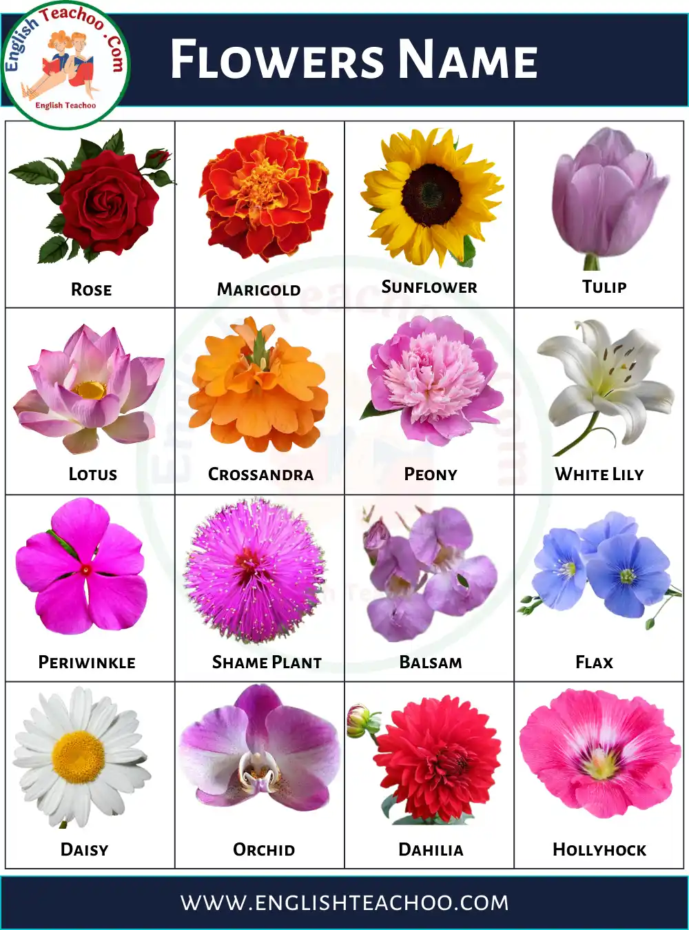 10 Flowers Name In English With Pictures - EnglishTeachoo