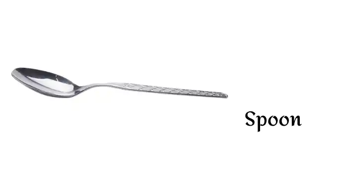 Spoon1