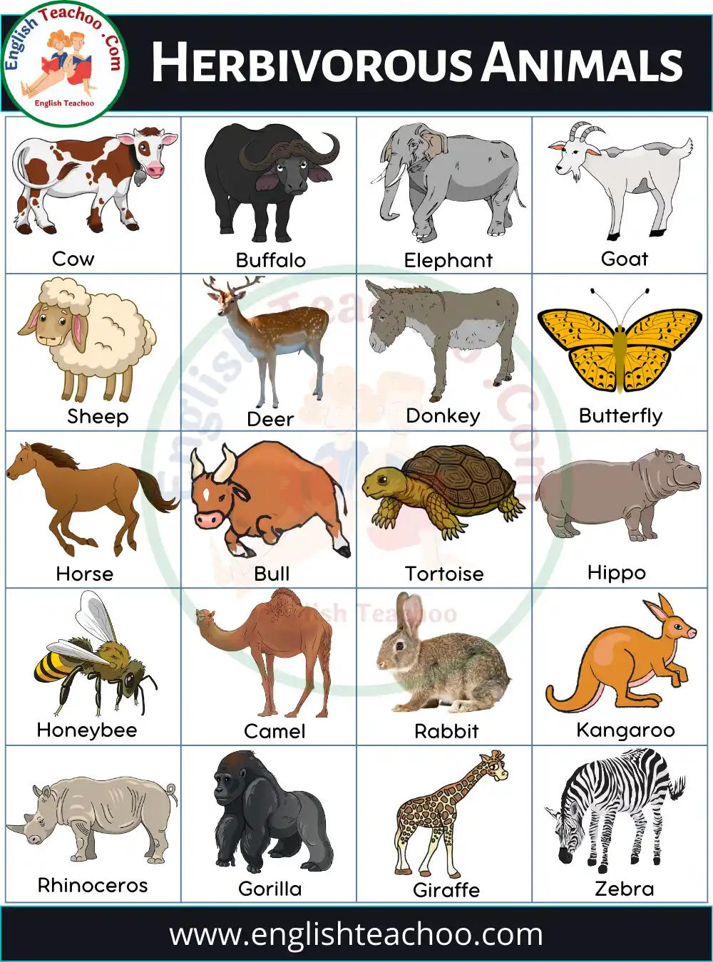 20 Herbivorous Animals Name List and Examples