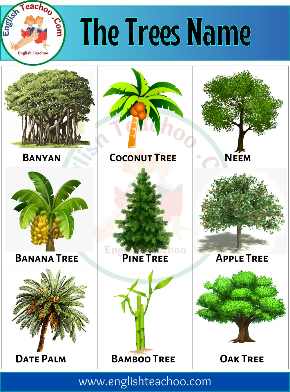 The Trees Names